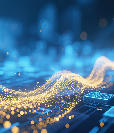 CC网投三大服务